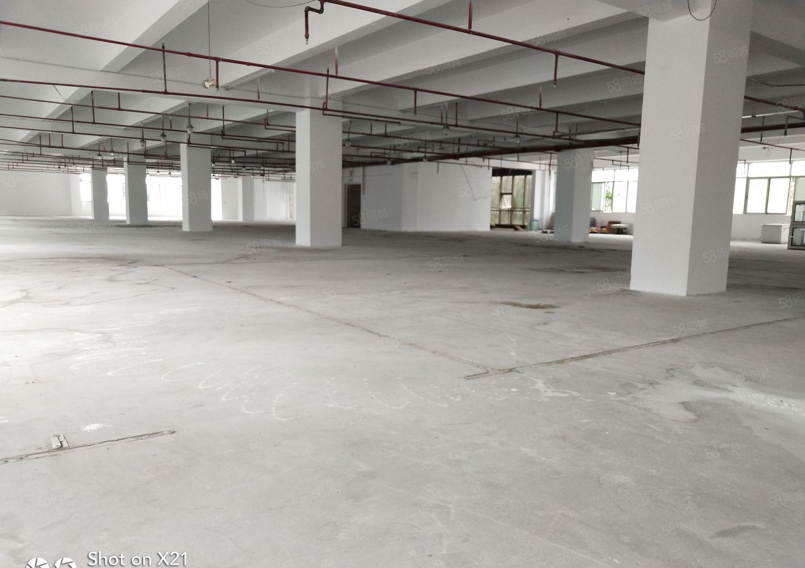 坂田独院厂房15000平米可分500平.800，大小分租