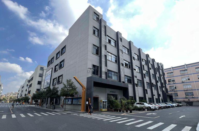 带红本优享政补宝龙科技城1000平方精装办公研发仓库厂房出租