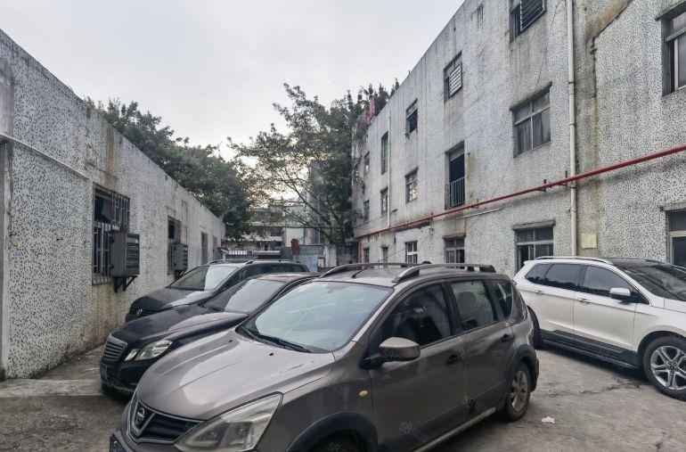 龙岗新生龙园大观新生路一楼700平整层可以分租一半