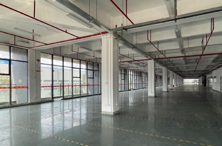 横岗厂房出租一二楼格2000平方带有现成装修可分租