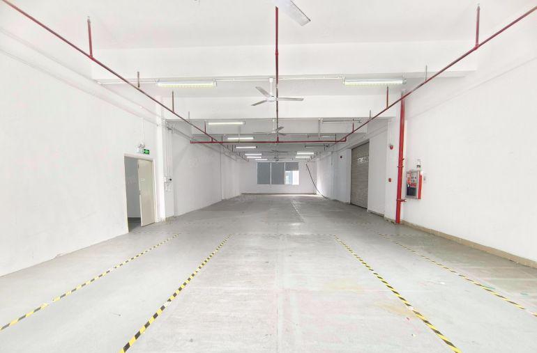 坂田厂房出租500平至3000平方精装修一楼电商物流仓库分租