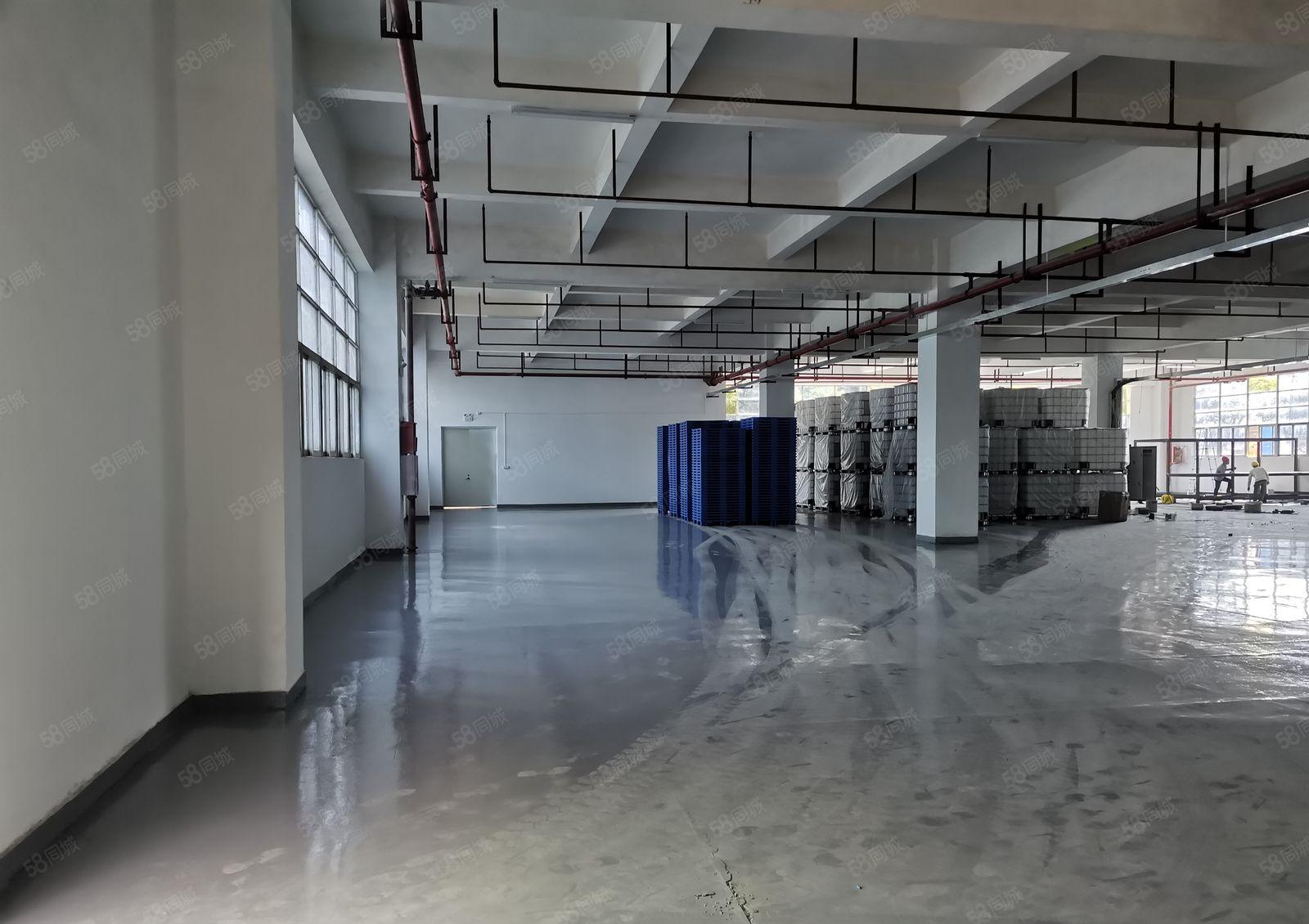 龙岗中心城爱联嶂背工业园原房东红本1楼500平带装修水电齐全