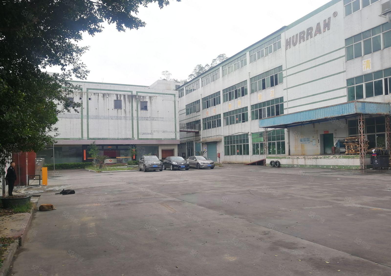 横岗原房东厂房出租1000平米大小可分租