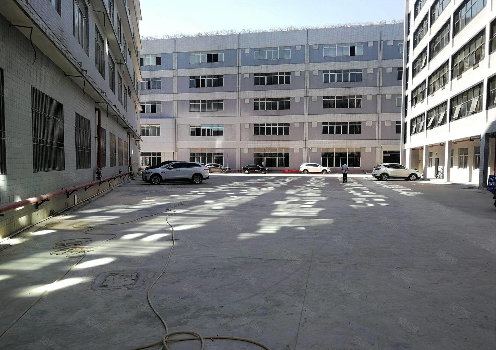 大运中心城附近原房东独院厂房分租1楼1000平米200起租