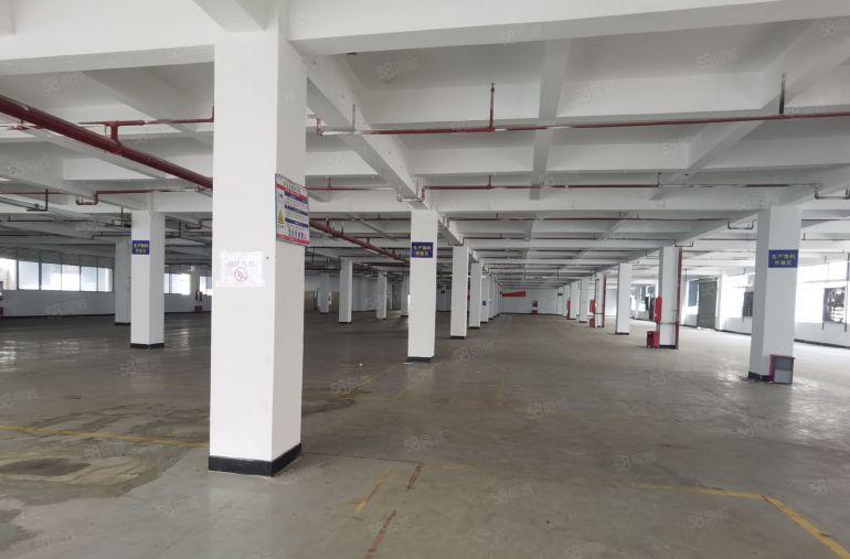 龙岗宝龙科技园原房东红本厂房4300平可分租近地铁口易招工