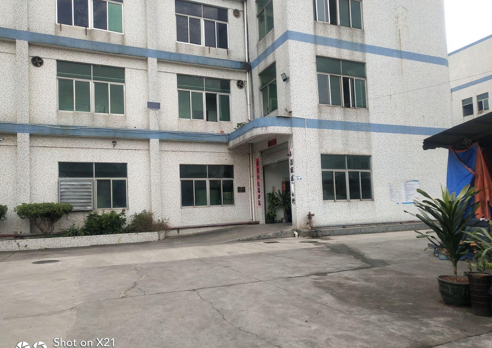 平湖白泥坑独院厂2700平米带冻库平米出租，可分900