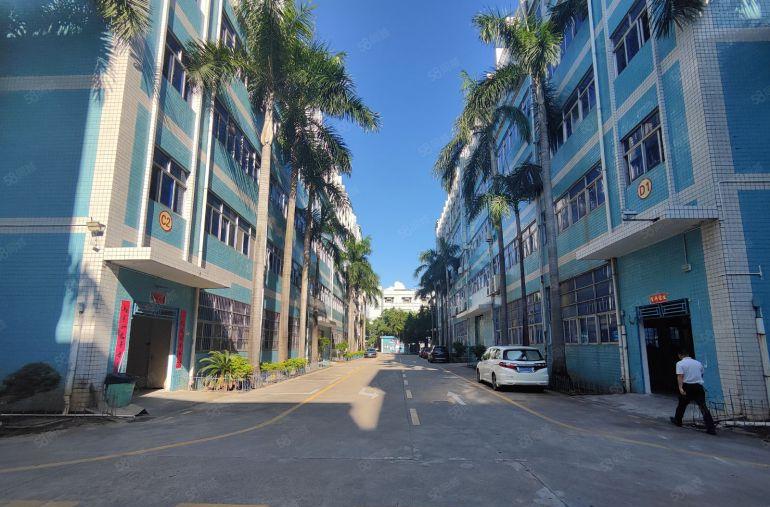 龙岗高新补贴园区对外出租6150平方，符合要求可拿房补。