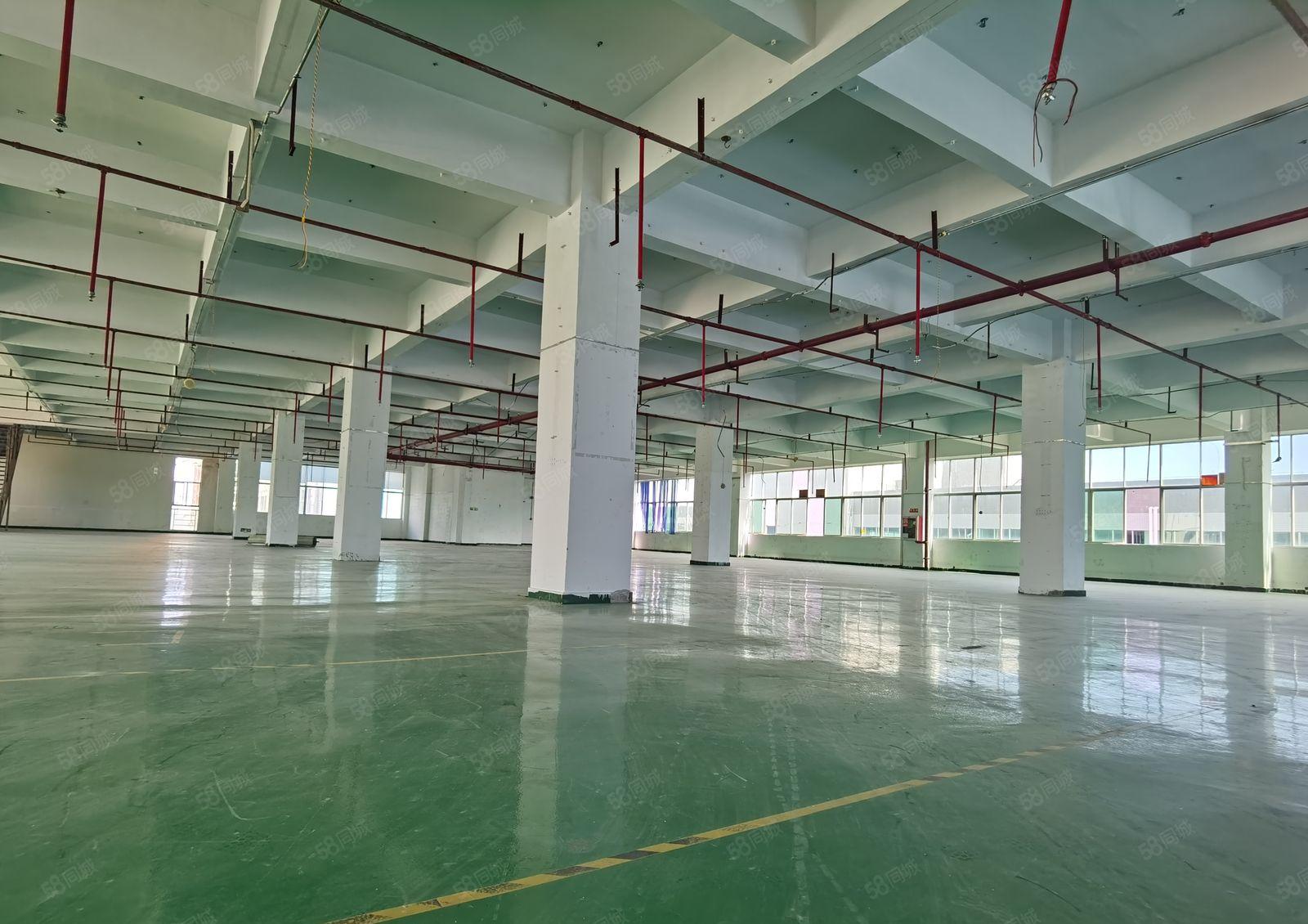 现成装修水电！1580平米！新生第三科技园低价厂房出租