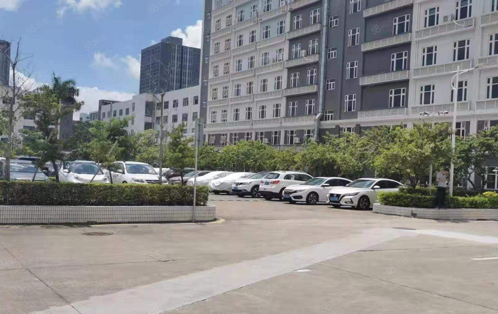 （出租）龙岗区宝龙原房东红本精装修厂房大小分租