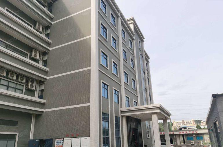 龙岗嶂背二楼全新装修700平厂房仓库办公室可整租可分租