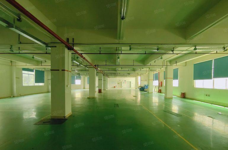 20元起坪地工业园新出1200平厂房仓库出租可分租可办环评