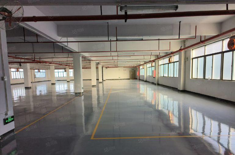 可签10年！独院个人红本低价厂房出租原房东可分层出租仓库出租