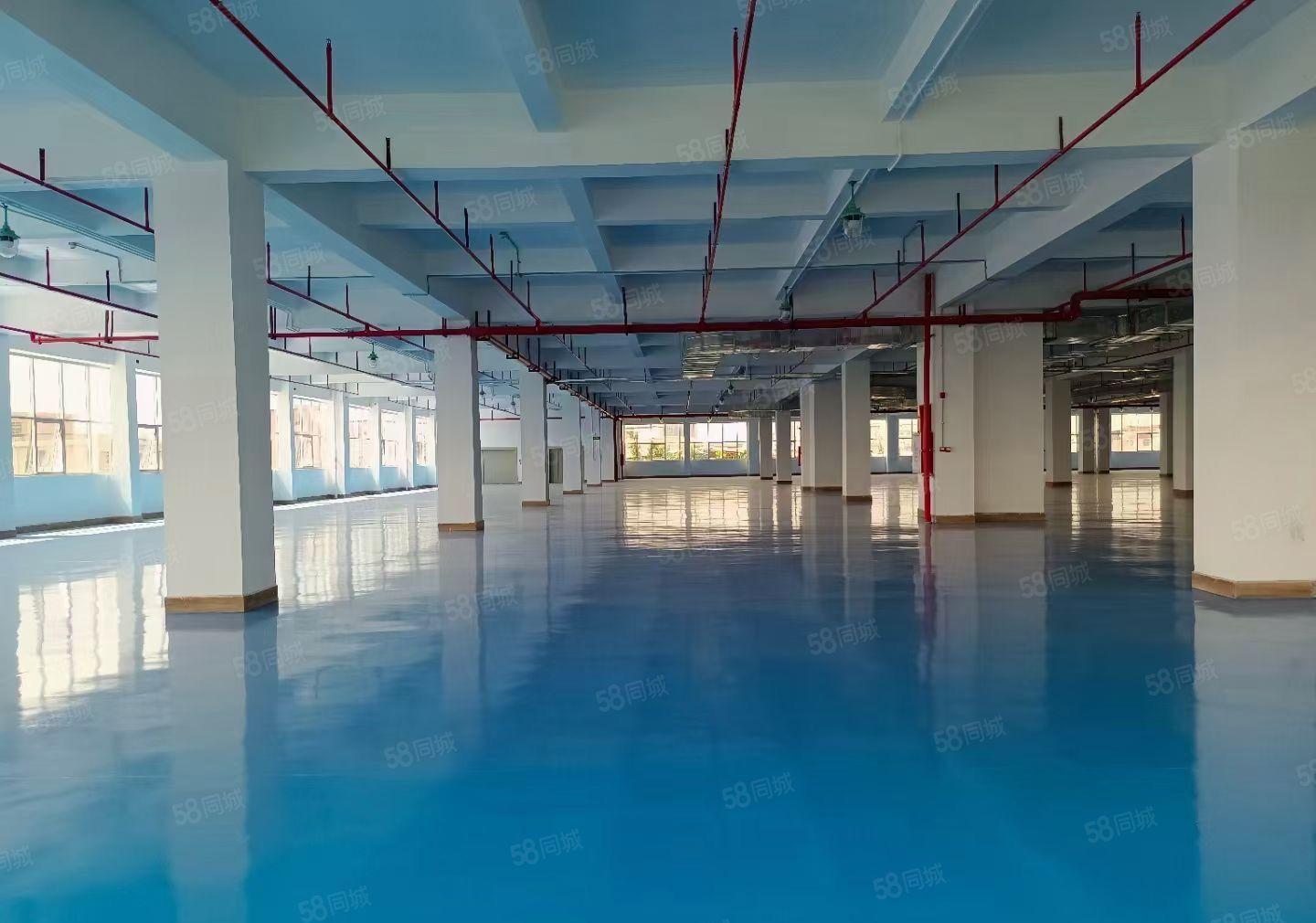 横岗六约新空出楼上2000平精装厂房仓库出租带消防喷淋地坪漆