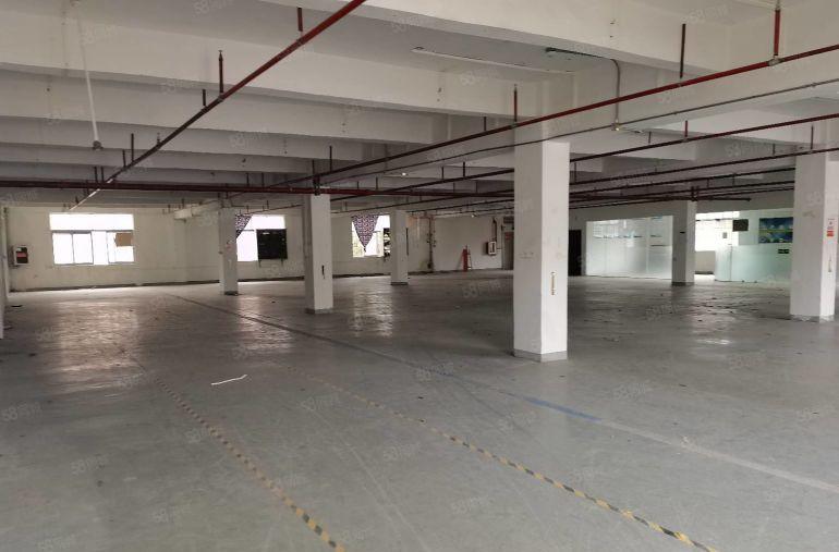 20元起租龙岗宝龙地铁口新出一楼二楼1200平厂房出租可分租