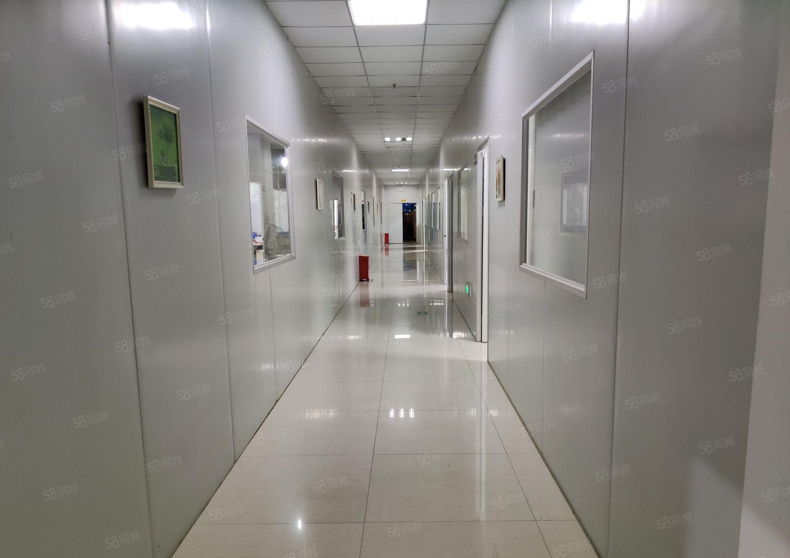 龙岗横岗地铁口红本园区精装修1000平出租大小可分租