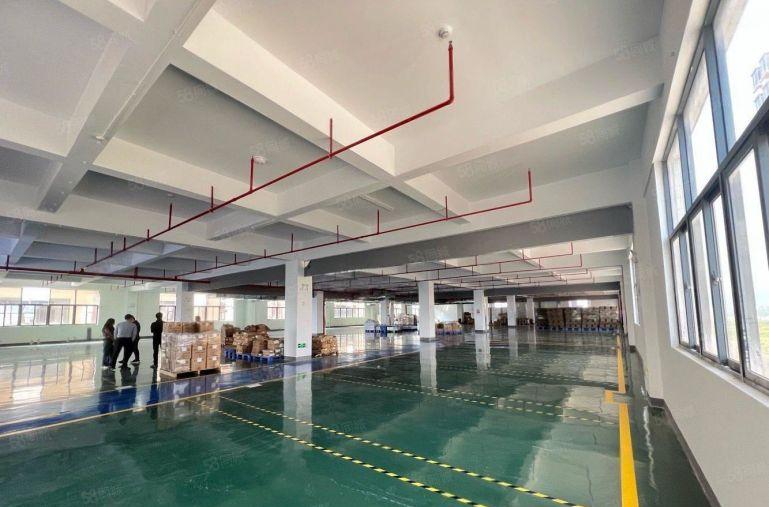 平湖100平起！新出楼上带厂房仓库办公低价出租空地大可分租