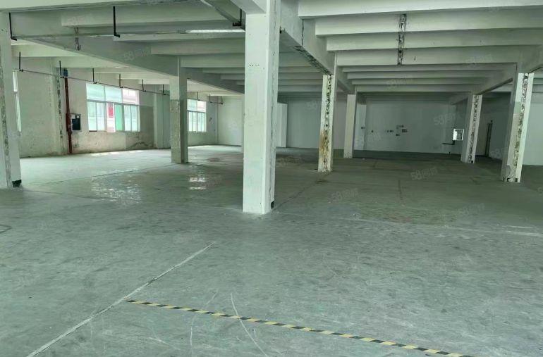 横岗六约地铁口200~5000平一二楼办公厂房仓库出租形象好