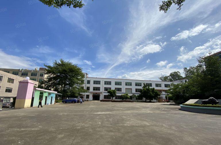 超大空地 村委直租龙岗新出独门独院9000平精装仓库厂房出租