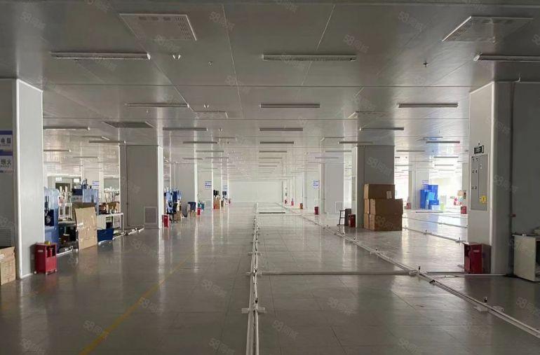 20起租平湖禾花木古地铁口500平1000平仓库厂房低价出租