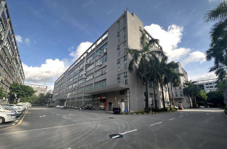 20元租坪地高桥原房东科技园1000平带装修办公仓库厂房出租