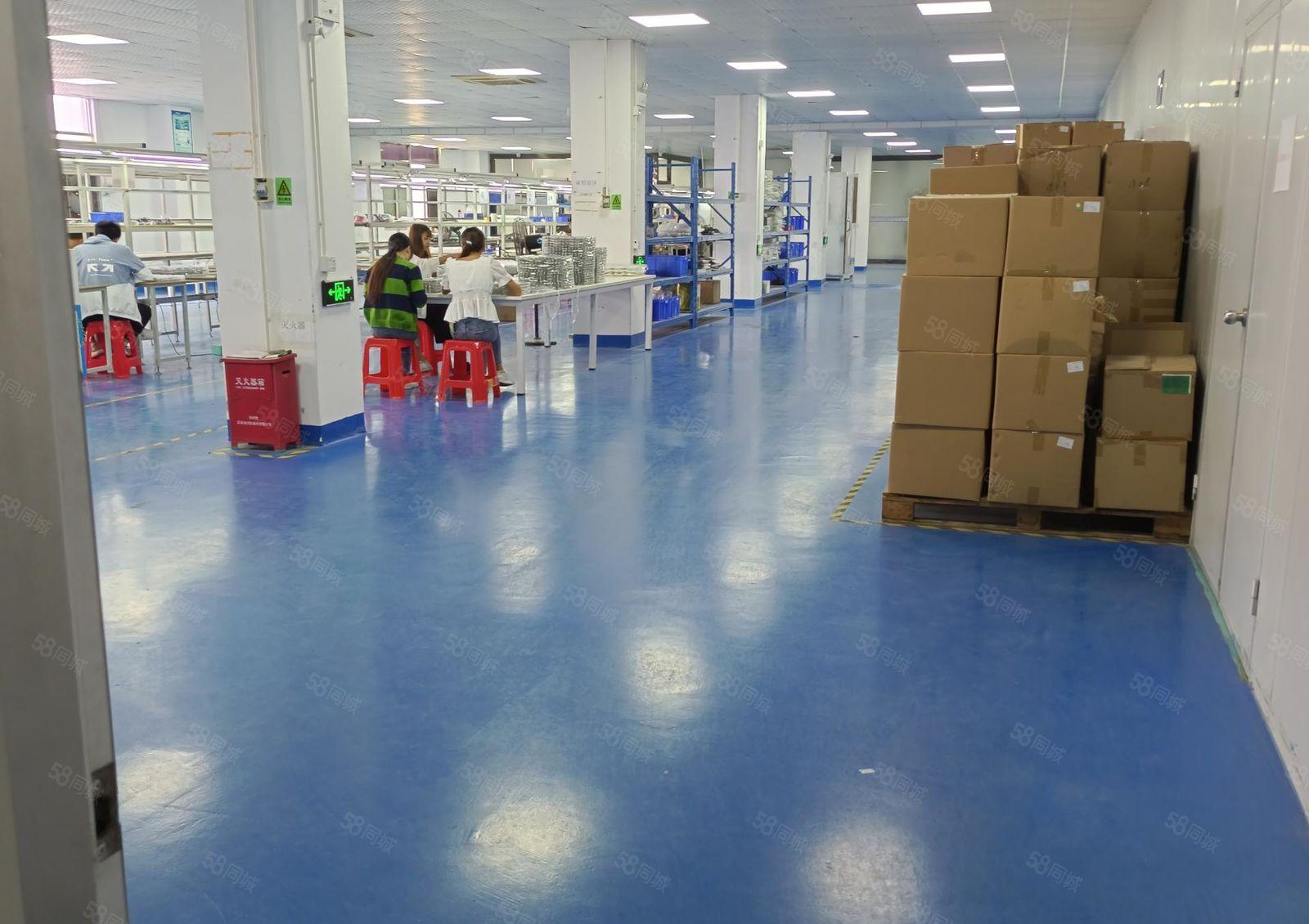 龙岗区龙东业主直租，独门独院7500平，价格可谈