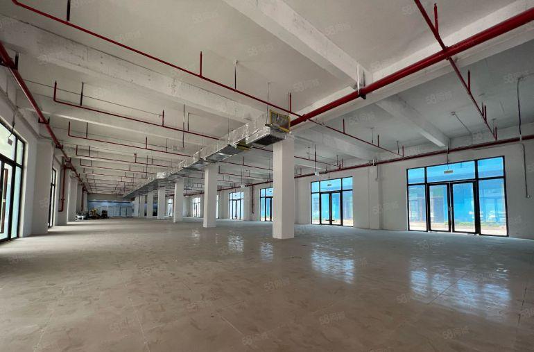 一楼3500平，横岗厂房带消防喷淋，500平起分出租