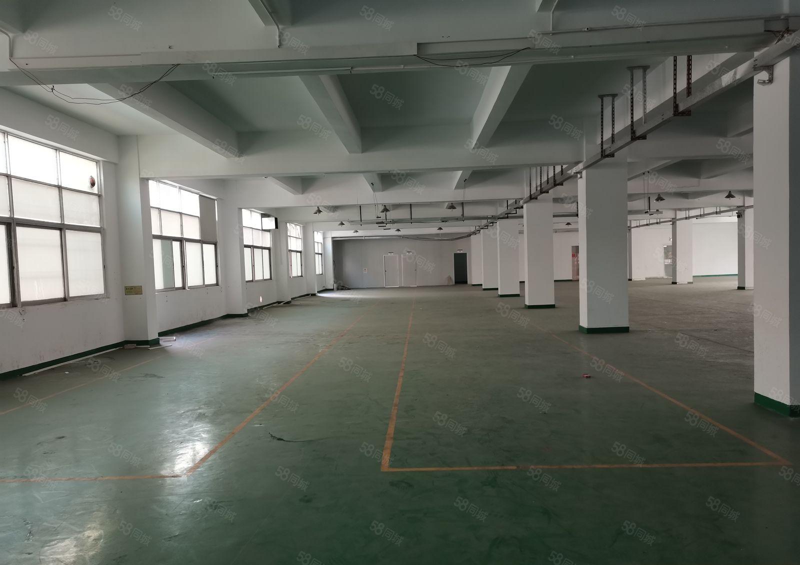 17元起龙岗五联工业园1000平厂房仓库出租200平起分租