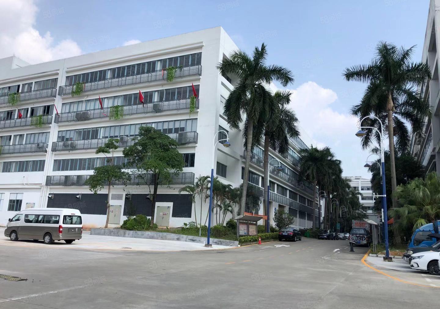 爱联大型电商园新空出300平方带精装修办公室仓库厂房出租