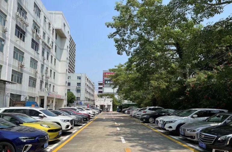 六约六和路255平米现成装修电商厂房