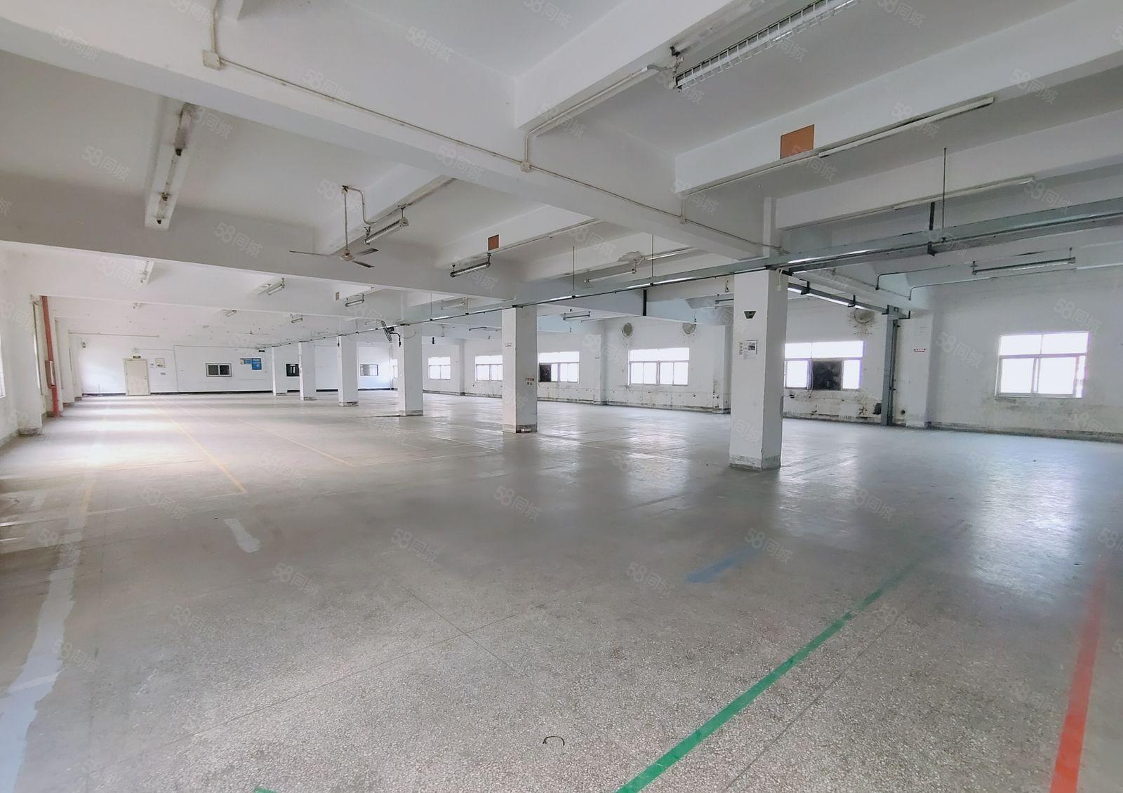 龙岗龙西外环高速原房东二楼1050平厂房出租500平起可分租