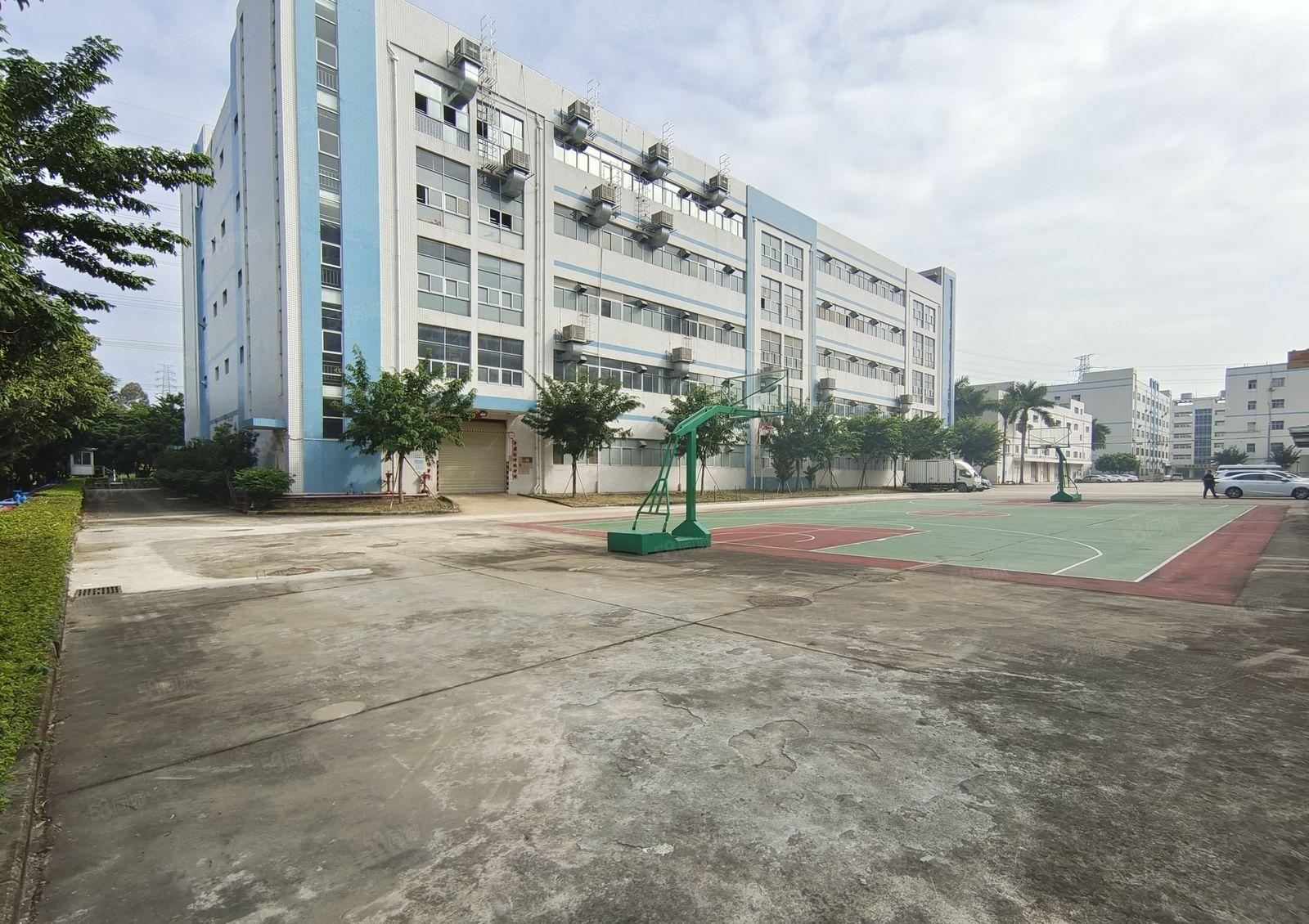 爱联大型电商园新空出500平方带精装修办公室仓库厂房出租