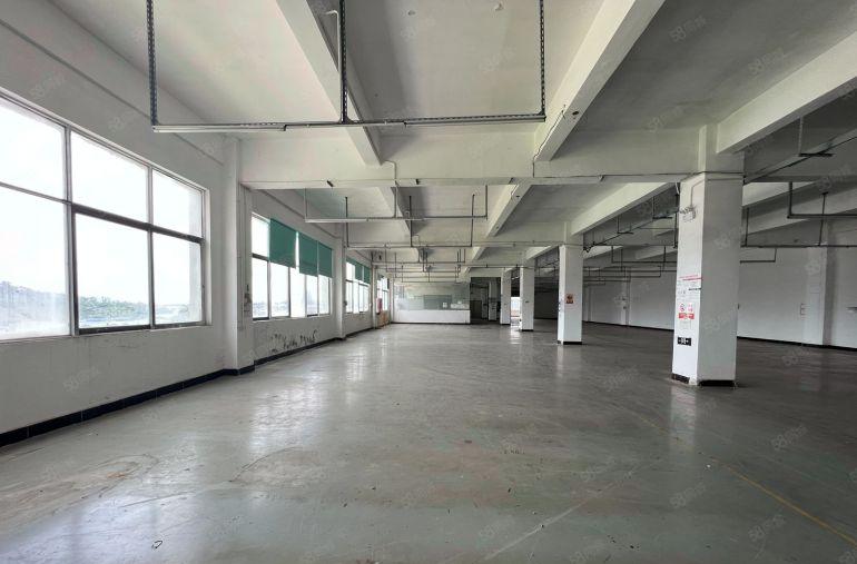 20元含税租龙岗宝龙原房东厂房2500平方电商仓库出租卸货台