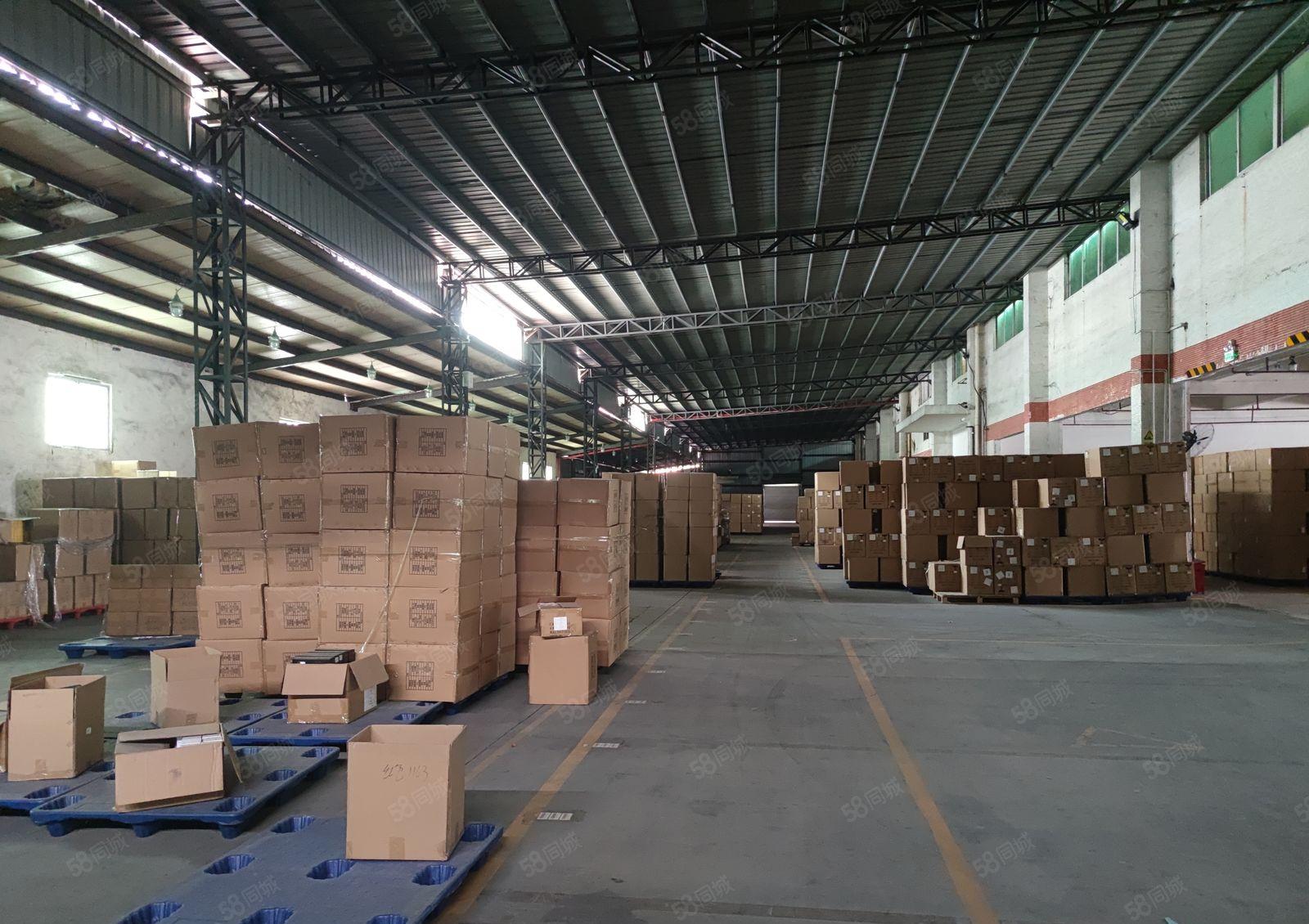 龙岗中心城机菏出口原房东独栋仓库厂房4000平方，可分租