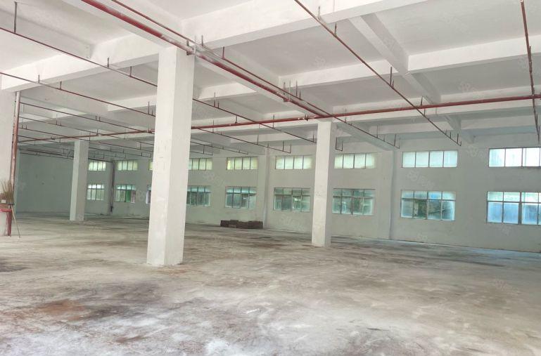 龙岗同乐九九同心工业区一楼1000平厂房出租 空地大好进大车