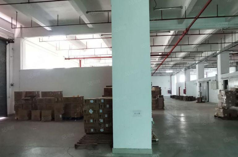 坂田  原房东使用率9成 整层2000平标准红本厂房出租