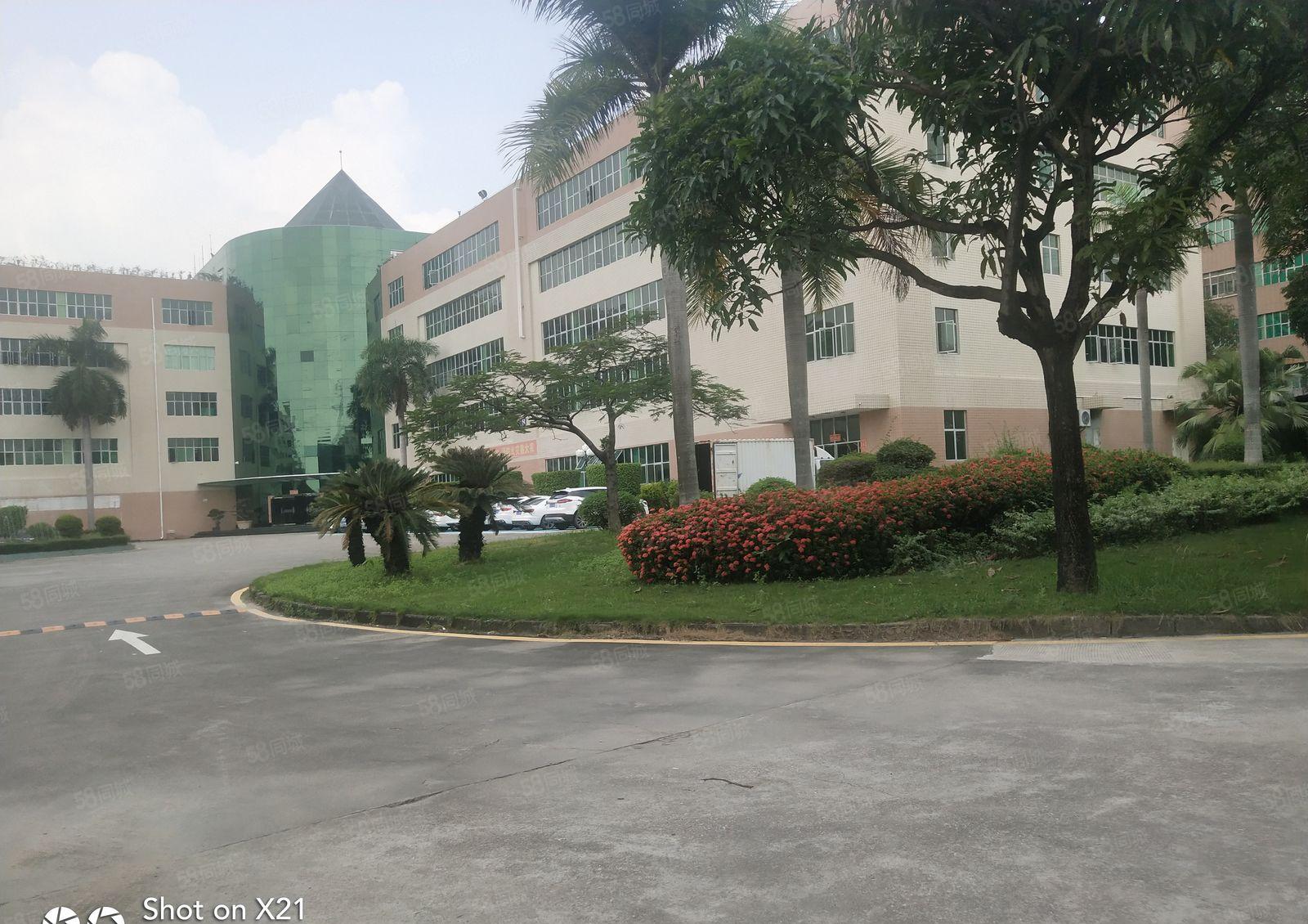 坂田独院厂房15000平米可分500平.800，大小分租