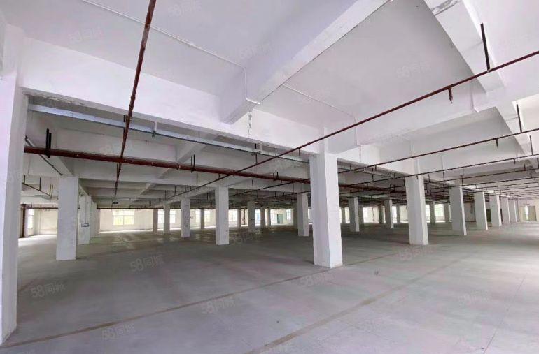 深圳龙岗红本独院厂房低价出租厂房出租