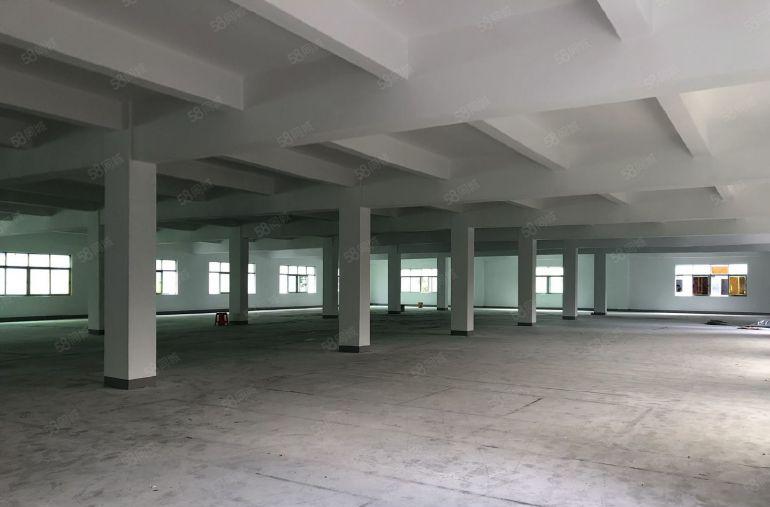 平湖辅城坳工业区独院厂房出租8200平方可分租全新装修。