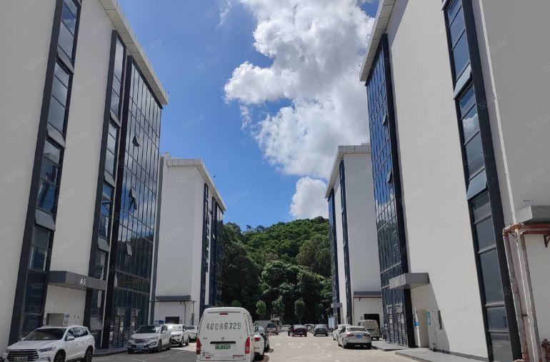 龙岗南联厂房出租大工业区楼上2000平带现成装修现成无尘车间