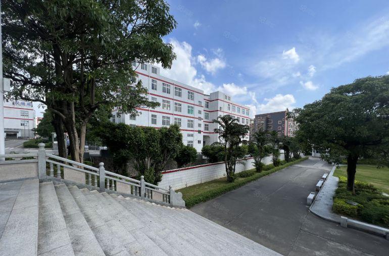 荷坳地铁口原房东一楼7.5米高厂房1500平方仓库出租好招工