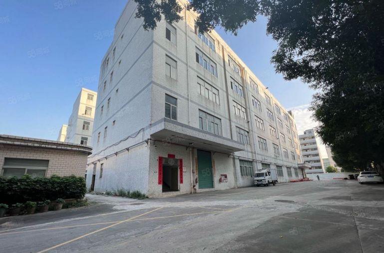 超长免租期，横岗六约珠宝基地500平，大小分租，不限行业