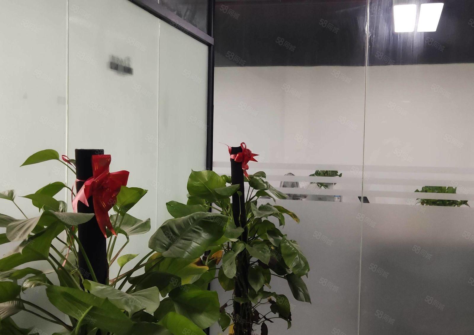 南联新出带电梯带装修540平米 出租