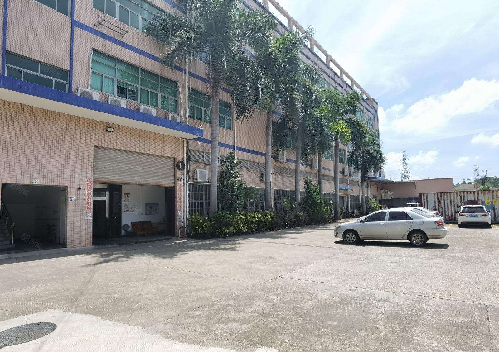 南联红本独院5000平原房东厂房出租合租！1000平起租低价