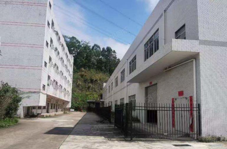 横岗地铁站附近新空出独门独院厂房5.2万平左右大小分租