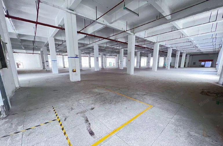 深圳龙岗一楼红本厂房出租原房东1万平米