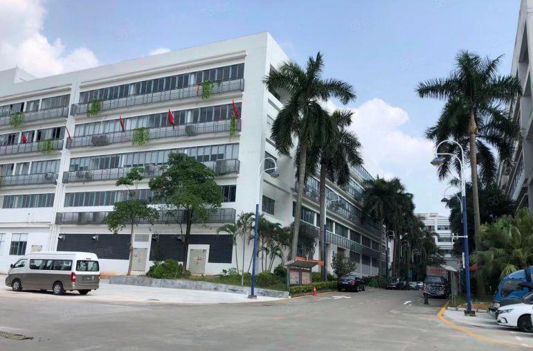 电商园新空出一套300平方带精装修的办公室仓库厂房出租