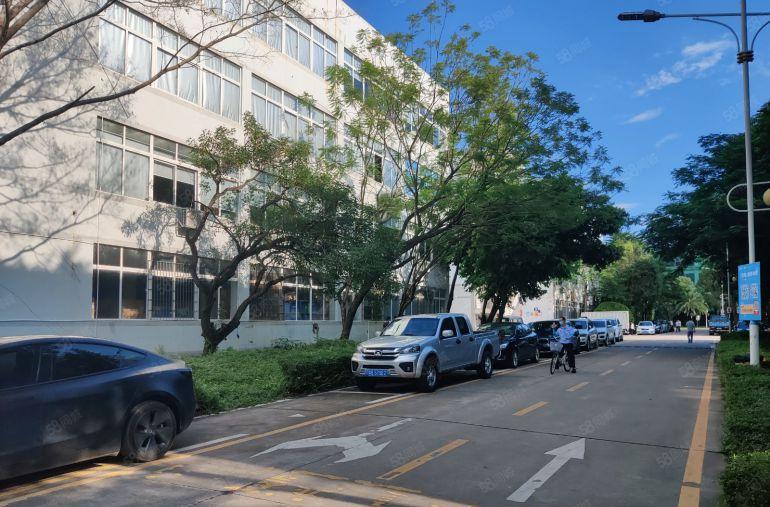 龙岗宝龙原房东红本高新产业园3万平方招租500起分