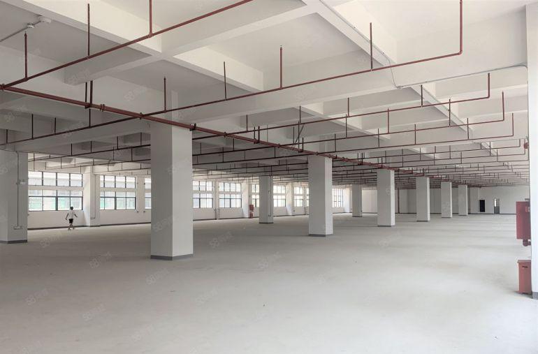 平湖辅城坳工业区原房东2400平可分租厂房仓库办公出租空地大