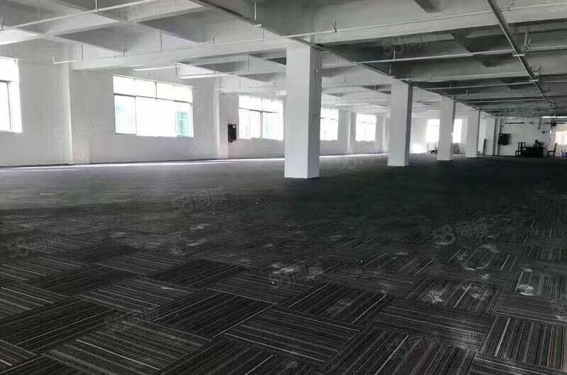 坂田地铁站新空电商办公室180平