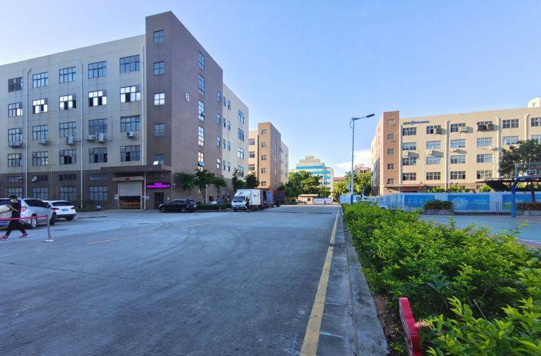 坪地高桥原房东科技园1000平方带精装修办公仓库厂房低价出租